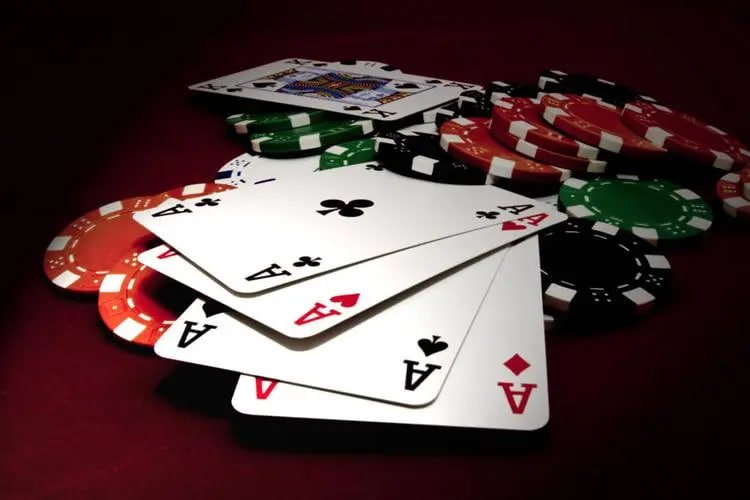 55qq