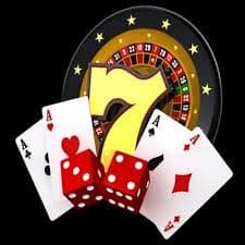 55qq